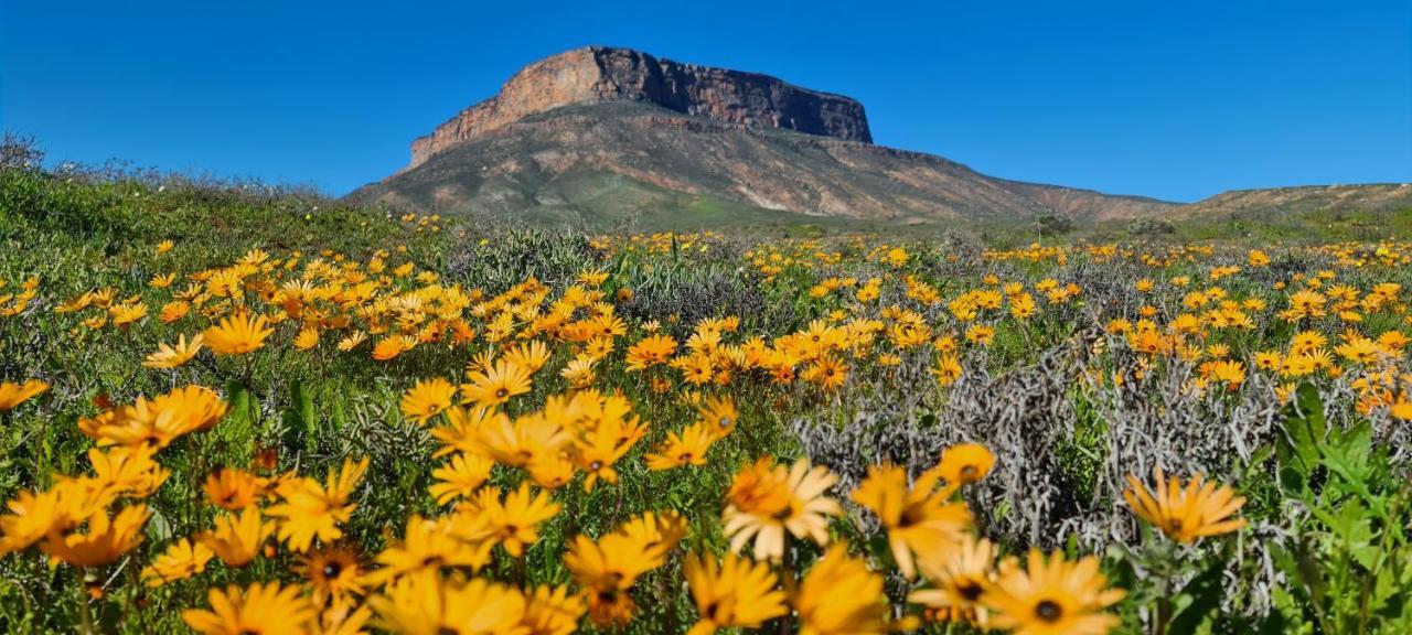 Mountain View Guesthouse Vanrhynsdorp 外观 照片