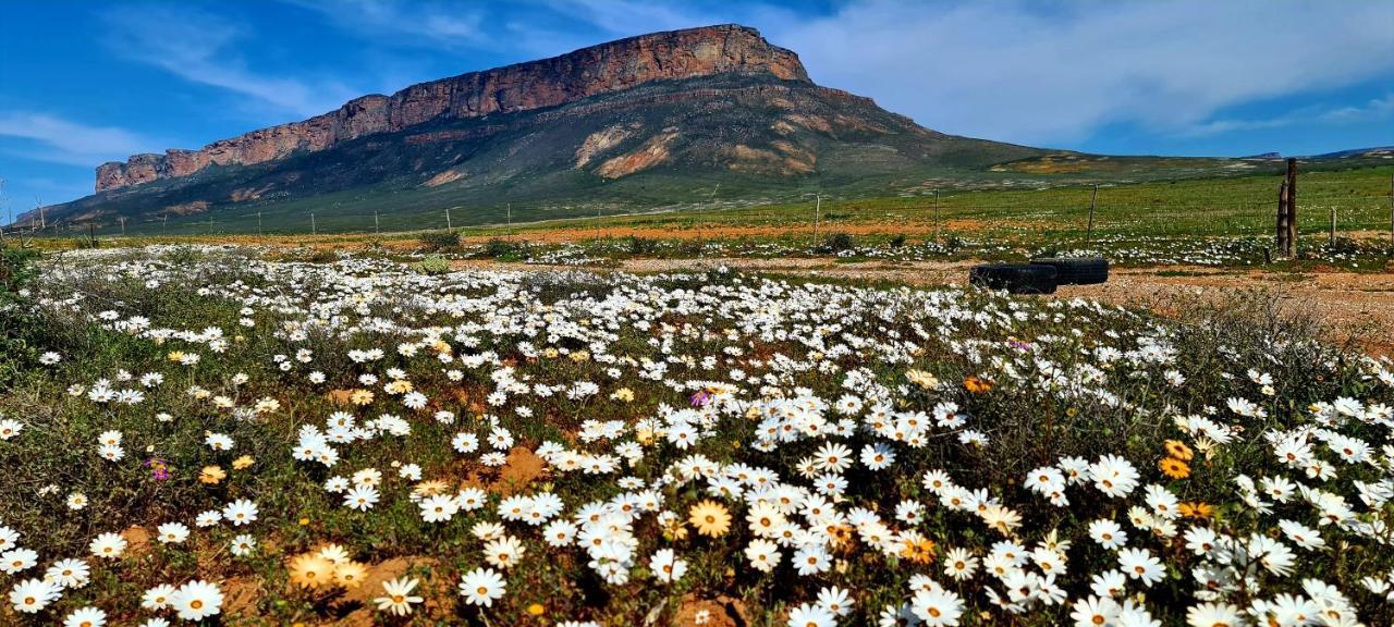Mountain View Guesthouse Vanrhynsdorp 外观 照片